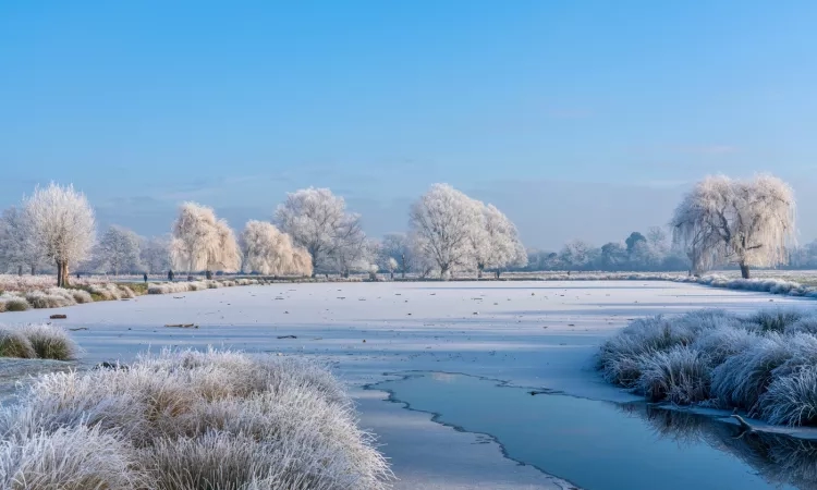 Landscape image of a park with a lake frozen over. 