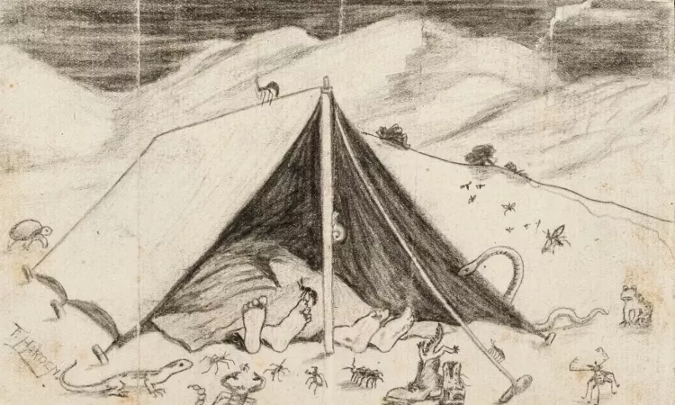 A sketch Hori sent home depicting his life in Macedonia, surrounded by wildlife