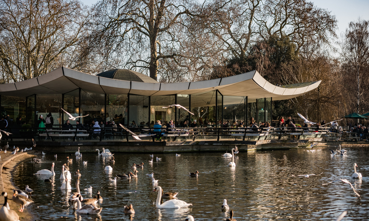 Waterfowl on the Serpentine outside Serpentine Bar and Kitchen in Hyde Park