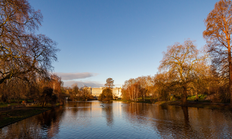 Buckingham Palace over St. James's Lake