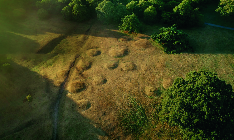 An aerial photograph of the barrow cemetery at Greenwich Park - it shows the raised circular barrows in the landscape