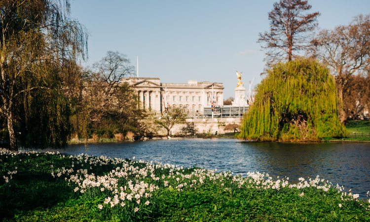 Image of Buckingham palace overlooking a lake.