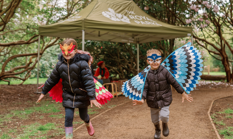 Two children running along a path wearing bird wing costumes