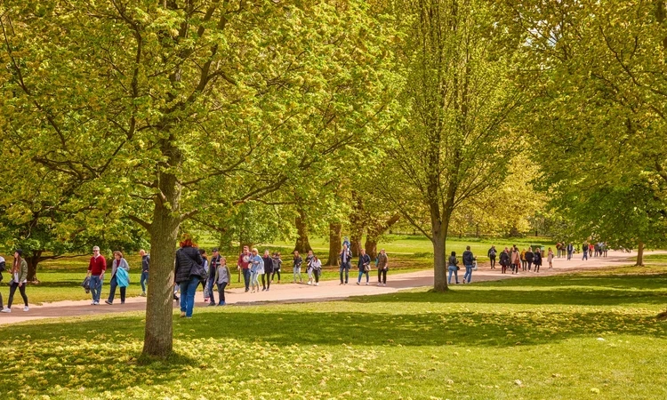 Green Park Spring Hero