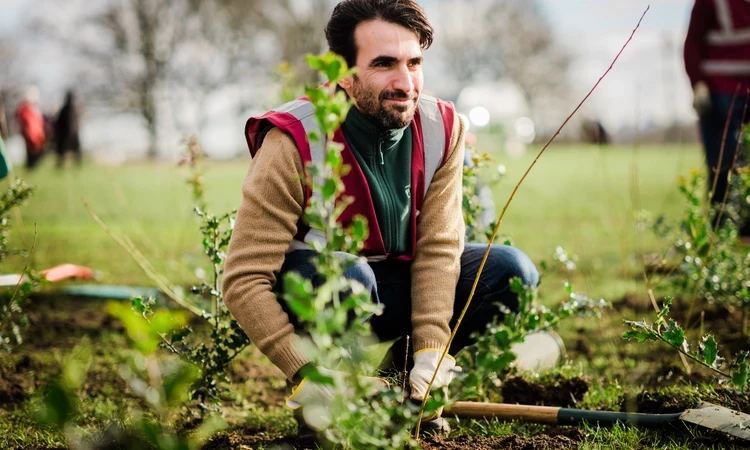 Person crouched down planting a tree sapling