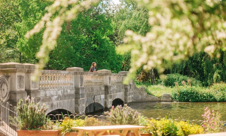 Landscape image of a bridge with a lake view