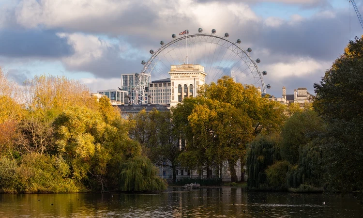 Image of a lake with greenery and the london eye in the background.