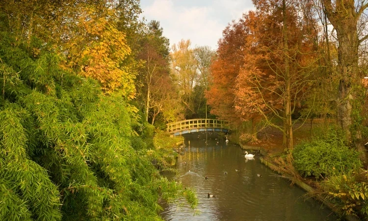 Autumnal trees in green orange and yellow and a waterway in the middle and a bridge crossing it.