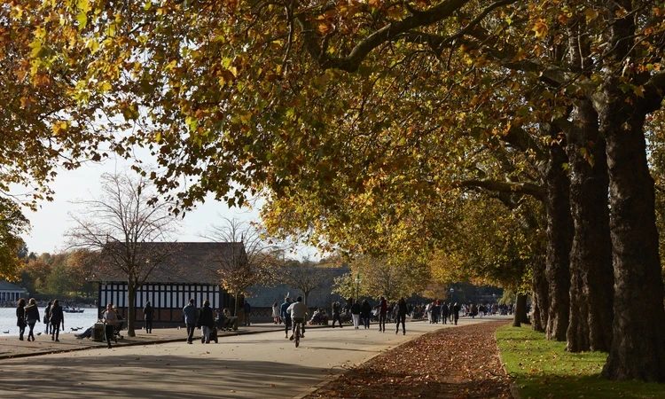 Autumn in Hyde Park