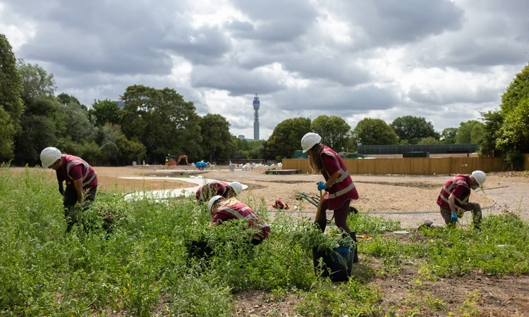 Volunteers with hi-vis jackets and hard hats digging and planting in the new garden in The Regent's Park
