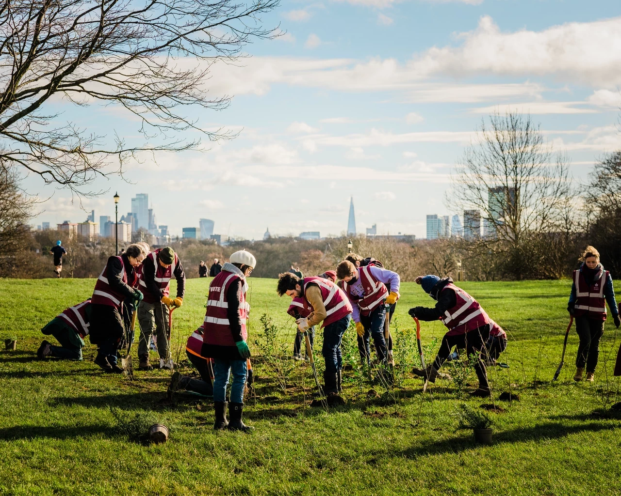 Volunteers scrub planting on Primrose Hill