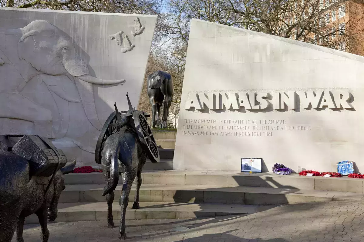 Animals in War memorial showing a horse and mule
