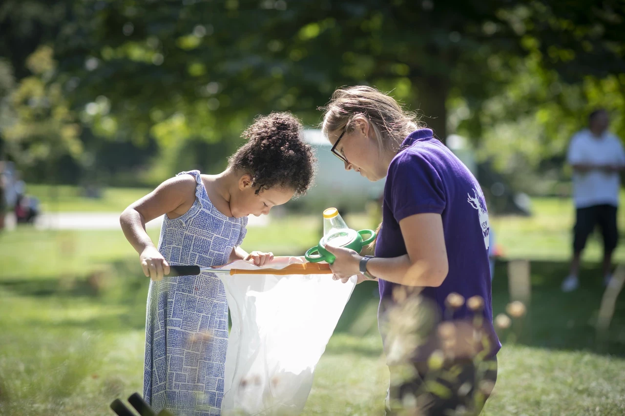 Butterfly catching at a Discovery Day