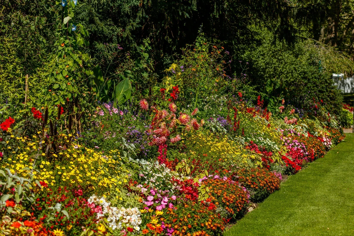 St James's Park summer flower beds