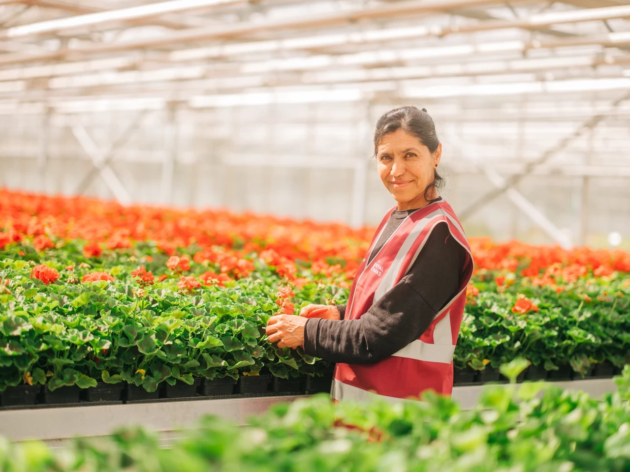 Gardening volunteer in the Hyde Park Super Nursery