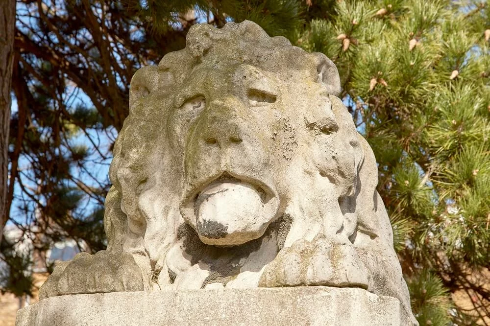 John Gentleman Jackson lion detail