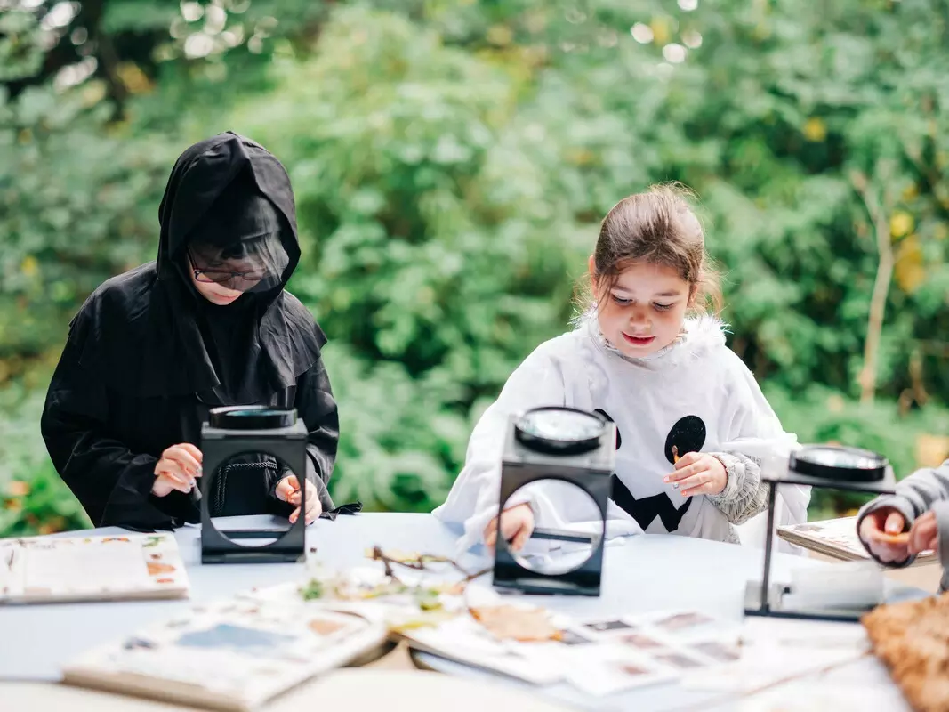 Children bug hunting in Halloween themed activities