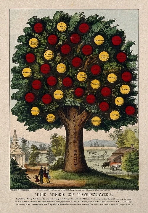 The Tree of Temperance by James Raper