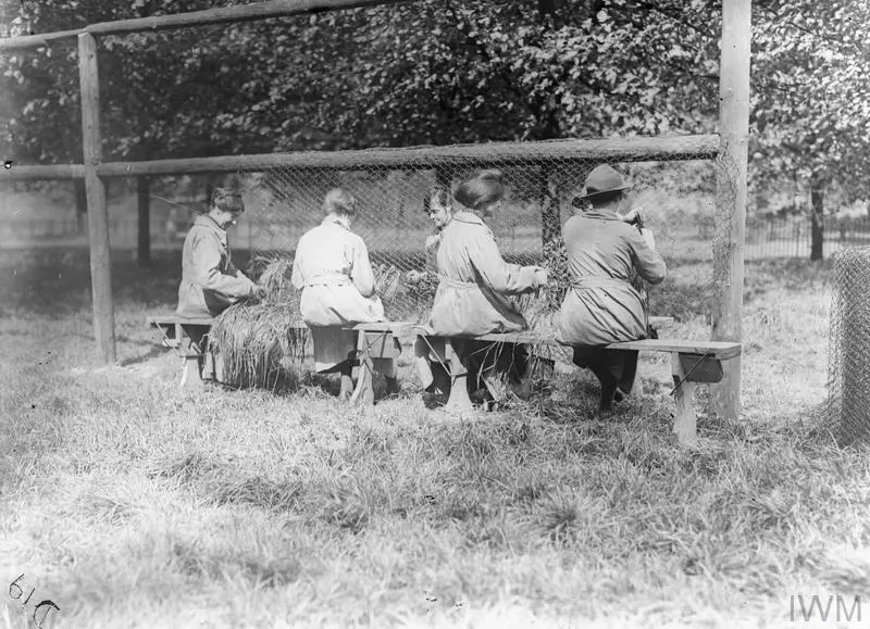Women in Kensington Gardens weaving camouflage nets during the First World War