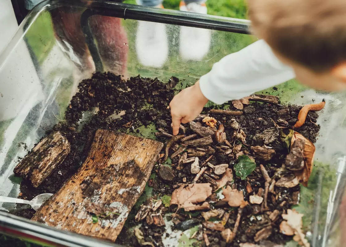 Soil is Alive | The Royal Parks