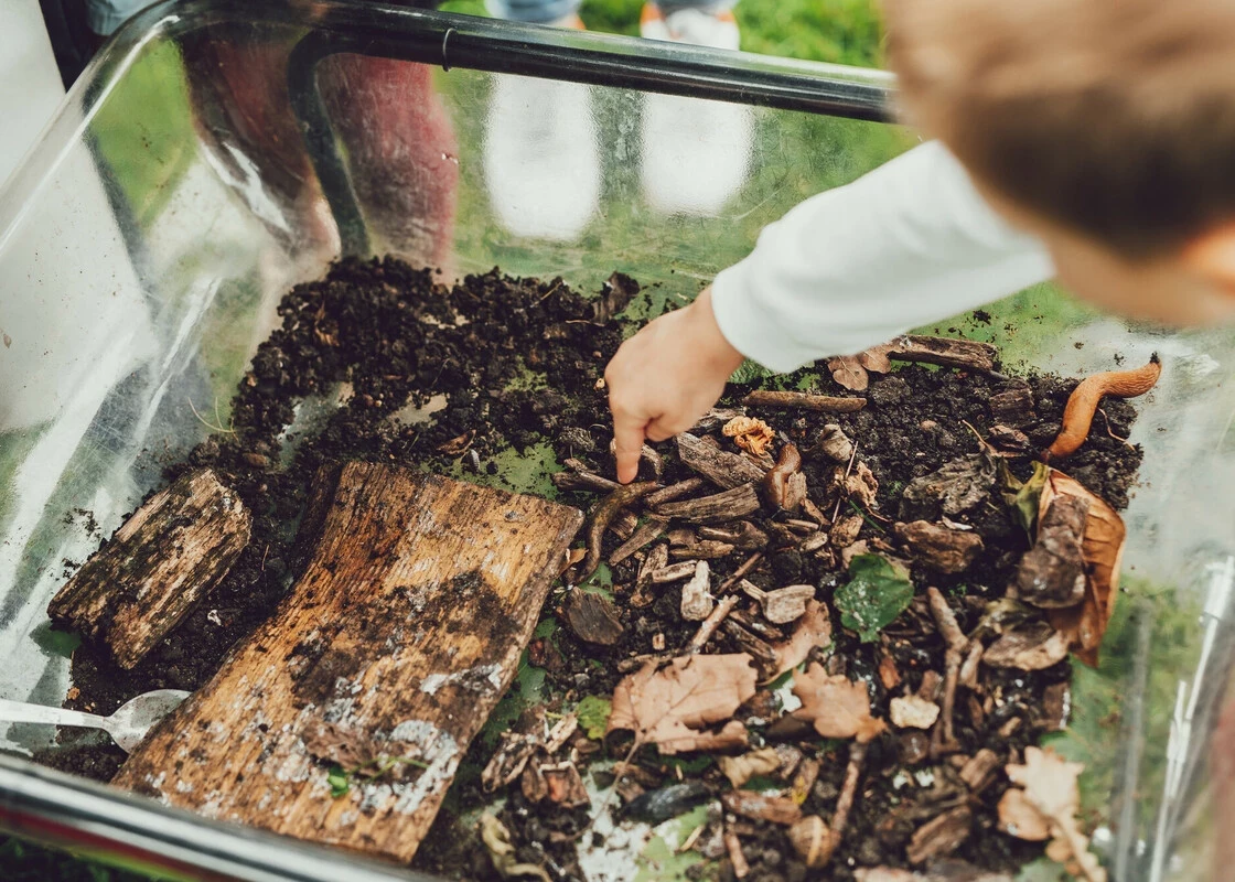 Children examining soil samples for invertebrates