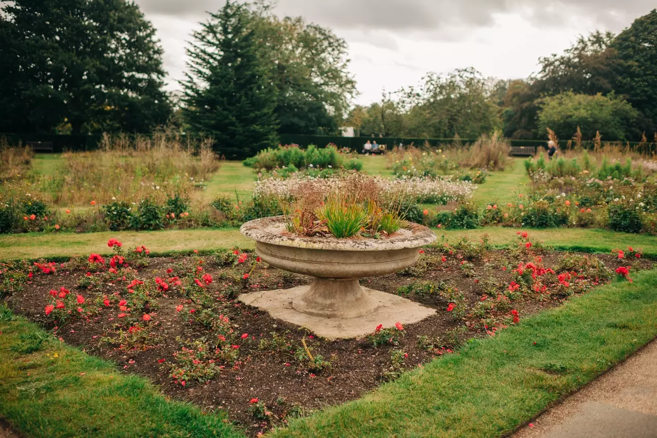 An image of the Rose Garden in Greenwich Park in autumn with grass, plant beds, and a stone planting with red flowers in.