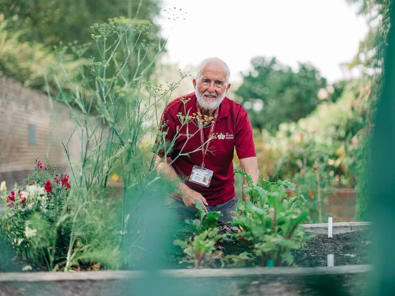 A volunteer planting at The Queen's Orchard in Greenwich Park