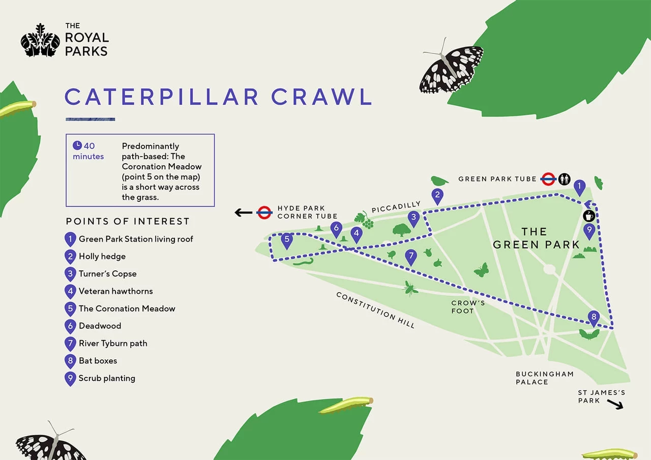 Thumbnail image of the Caterpillar Crawl map