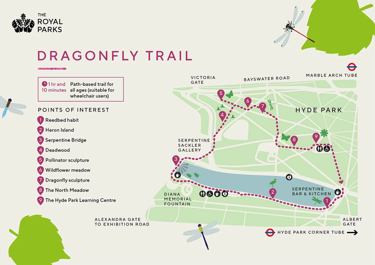 Thumbnail image of the Dragonfly Trail map