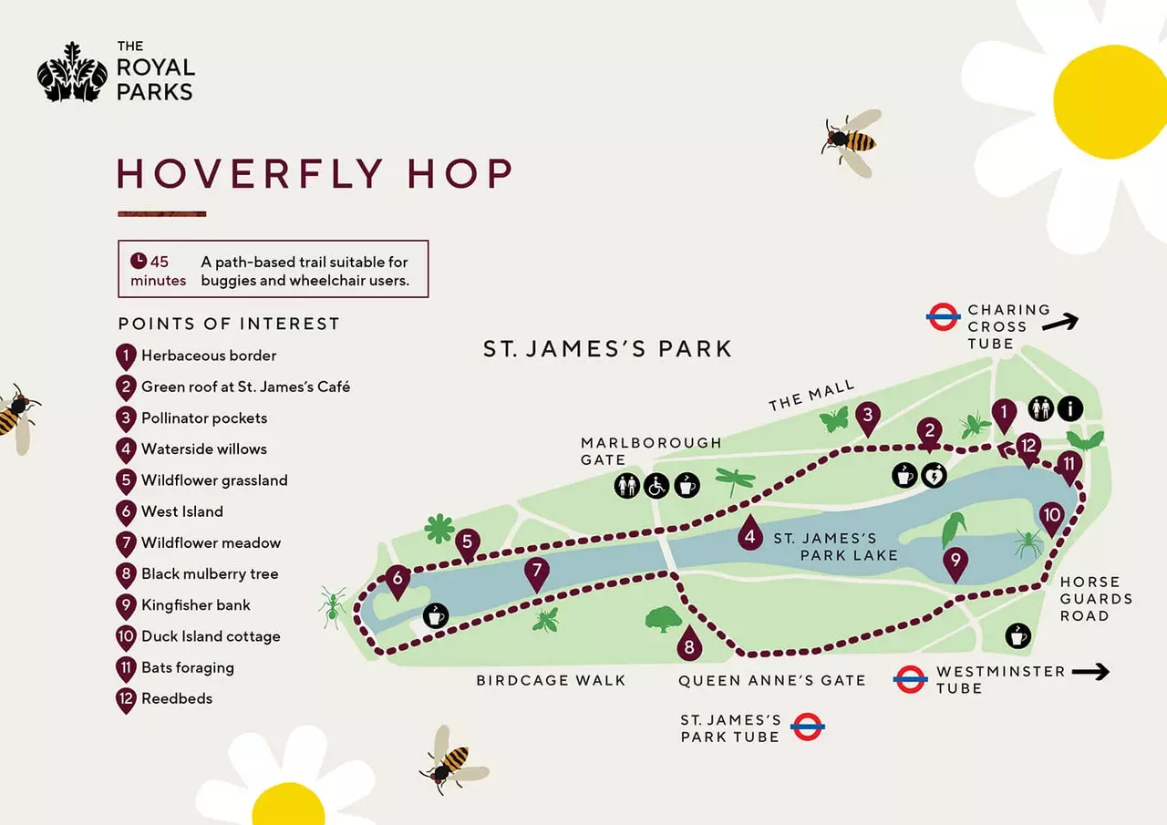 Thumbnail image of the Hoverfly Hop map