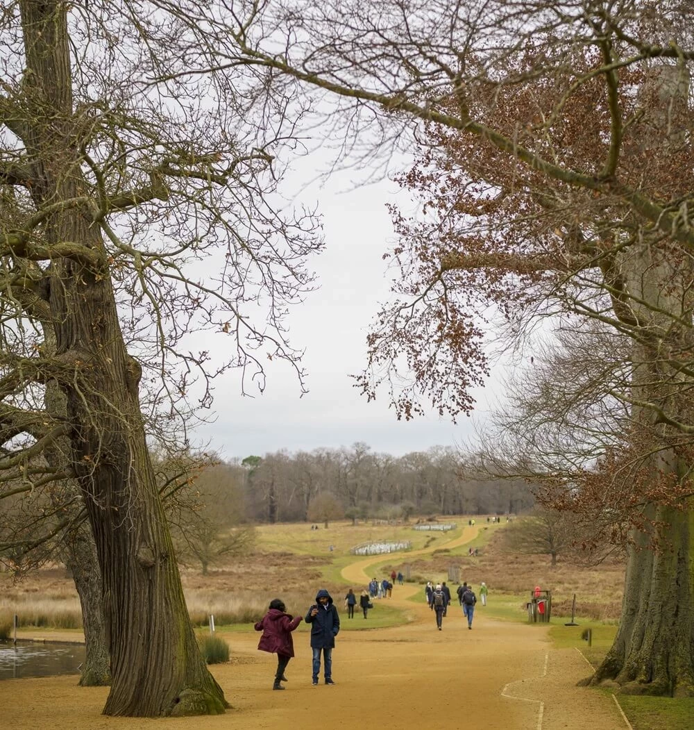 Pen Ponds in Richmond Park