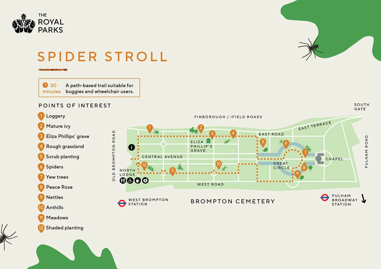 Thumbnail image of the Spider Stroll map