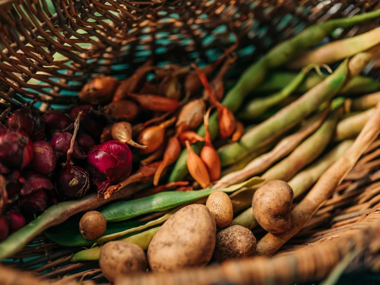 Vegetables in a basket