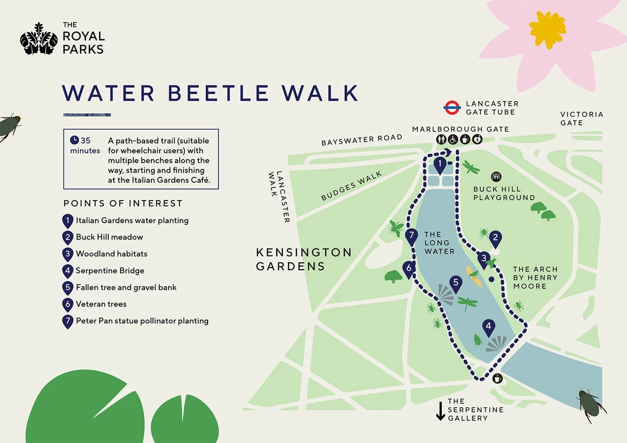 Thumbnail image of the Water Beetle Walk map