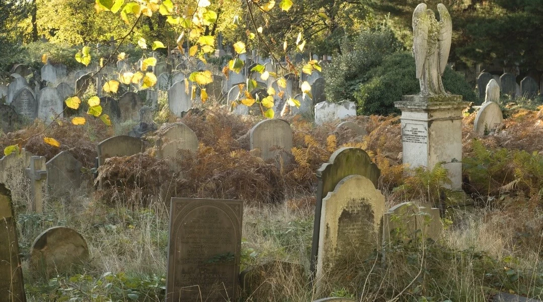 Gravestones and trees in Brompton Cemetery, one of the Royal Parks