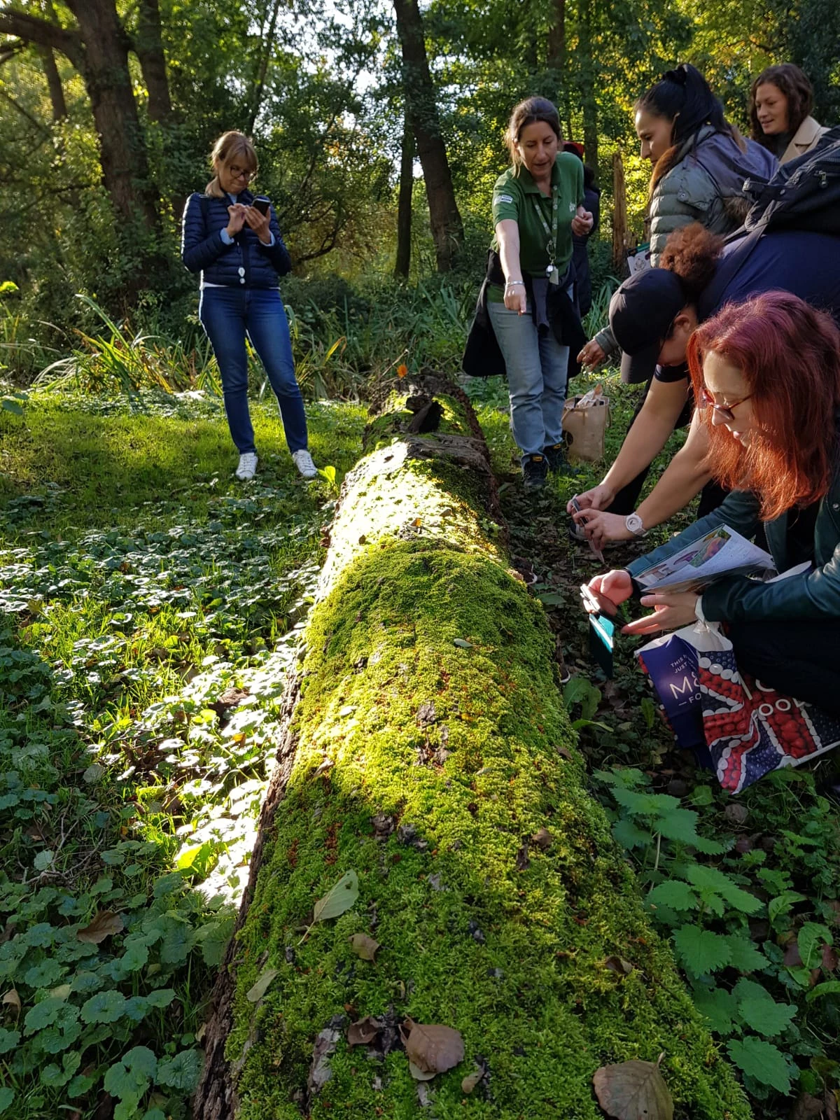 Visitors identifying fungi