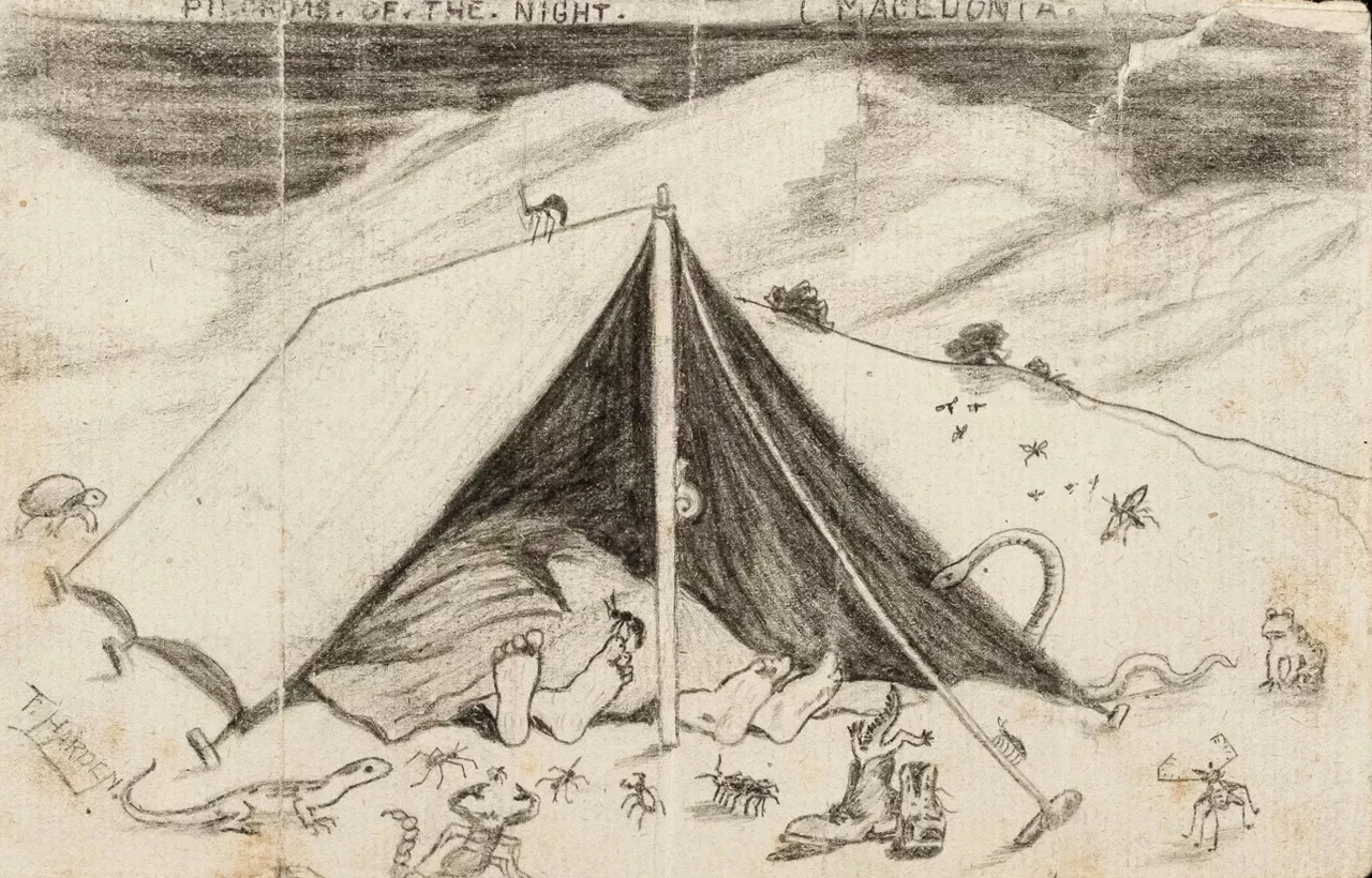 A sketch Hori sent home depicting his life in Macedonia, surrounded by wildlife