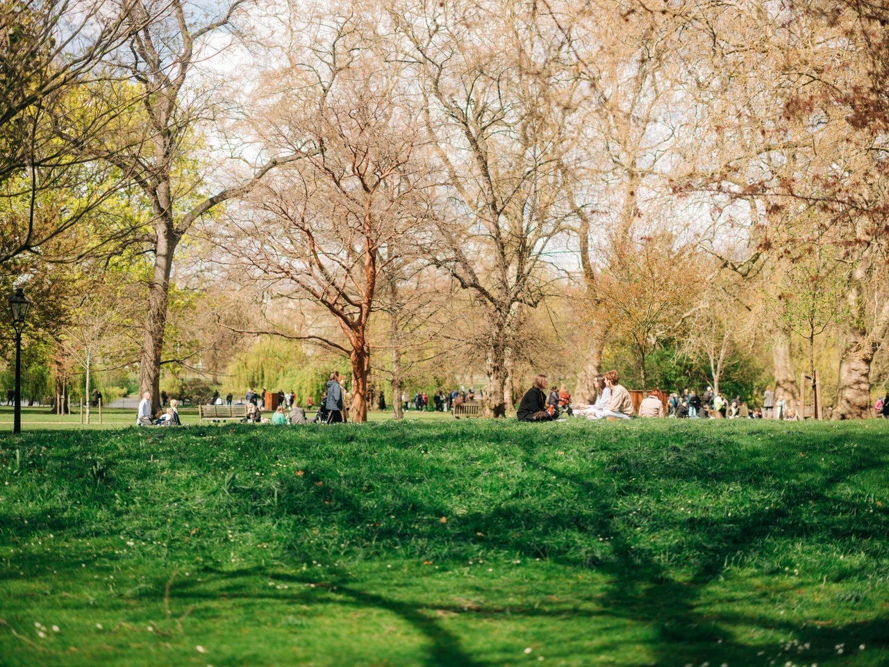 Image of a people sitting on green grass during a spring day in the park