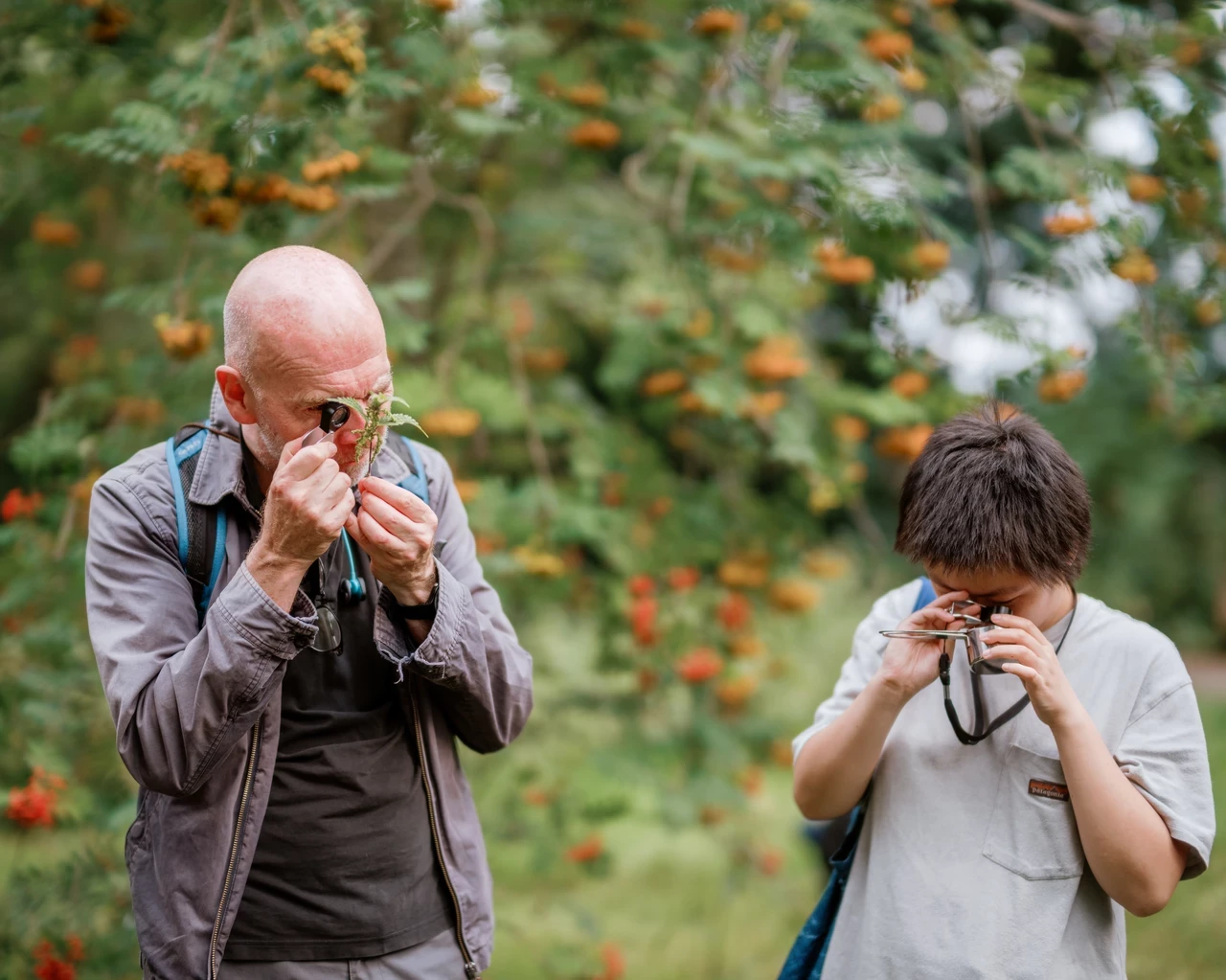 Image of people looking at plant samples through a magnifying device. Situated in an outdoor setting.