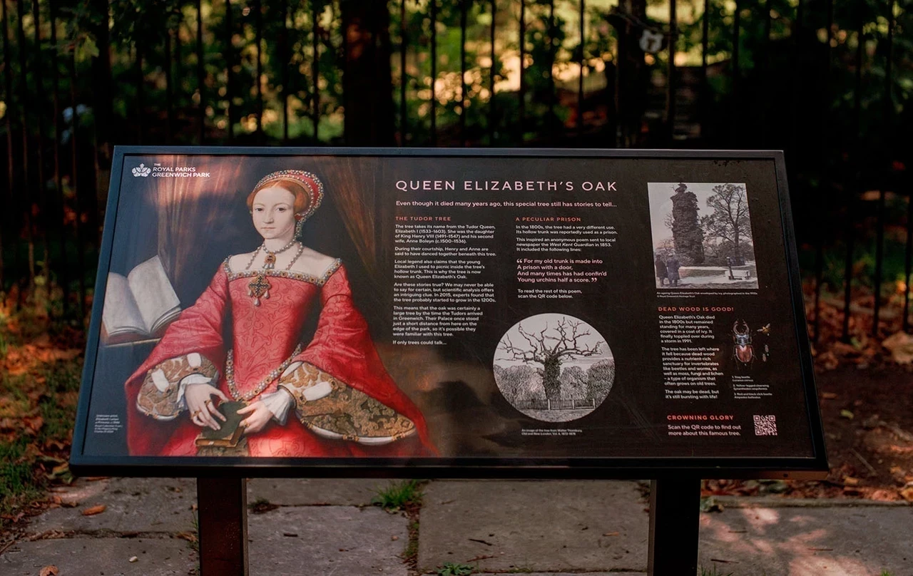 Information sign for Queen Elizabeth's Oak