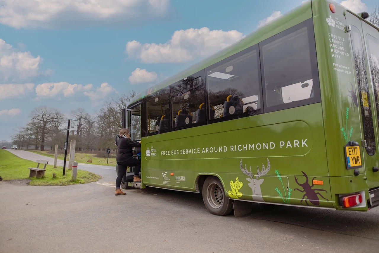 A green bus in a park