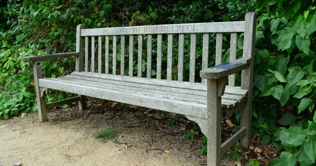 Ian Dury bench | The Royal Parks