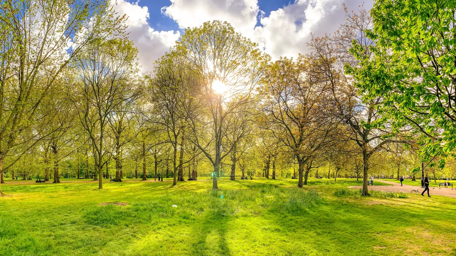 Green park фото. Green Park Англия. Грин парк Ташкент. Грин парк Лондон. Парк Грин клиент.