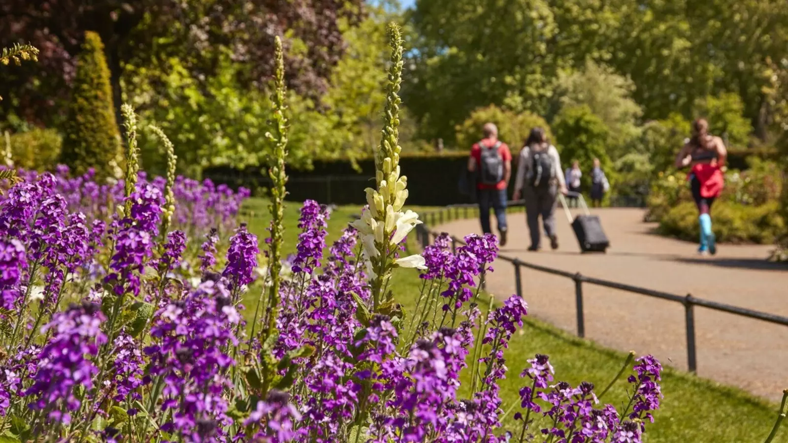 Hyde Park The Royal Parks